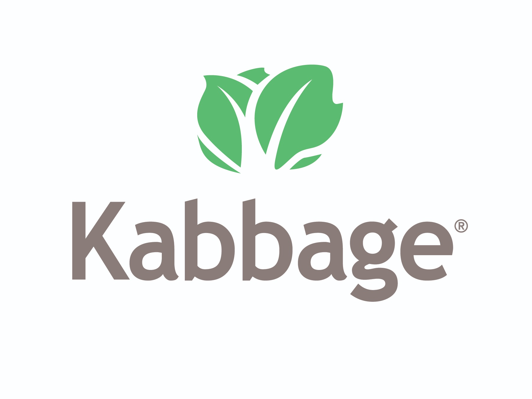 Amex Kabbage Loan